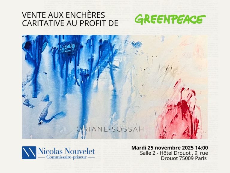 Vente greenpeace - Drouot